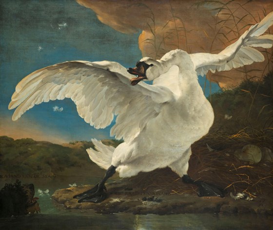 fine art giclee printing: Modern art prints uk